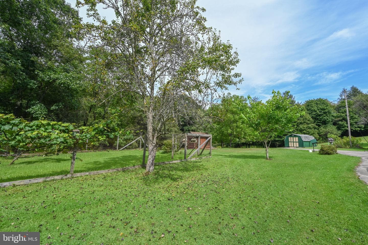 2527 Pigs Ear Road photo 61