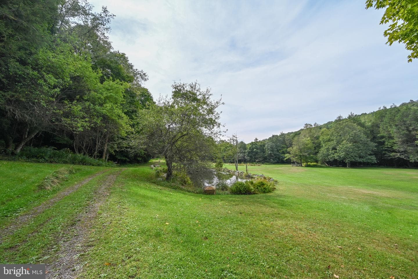 2527 Pigs Ear Road photo 63