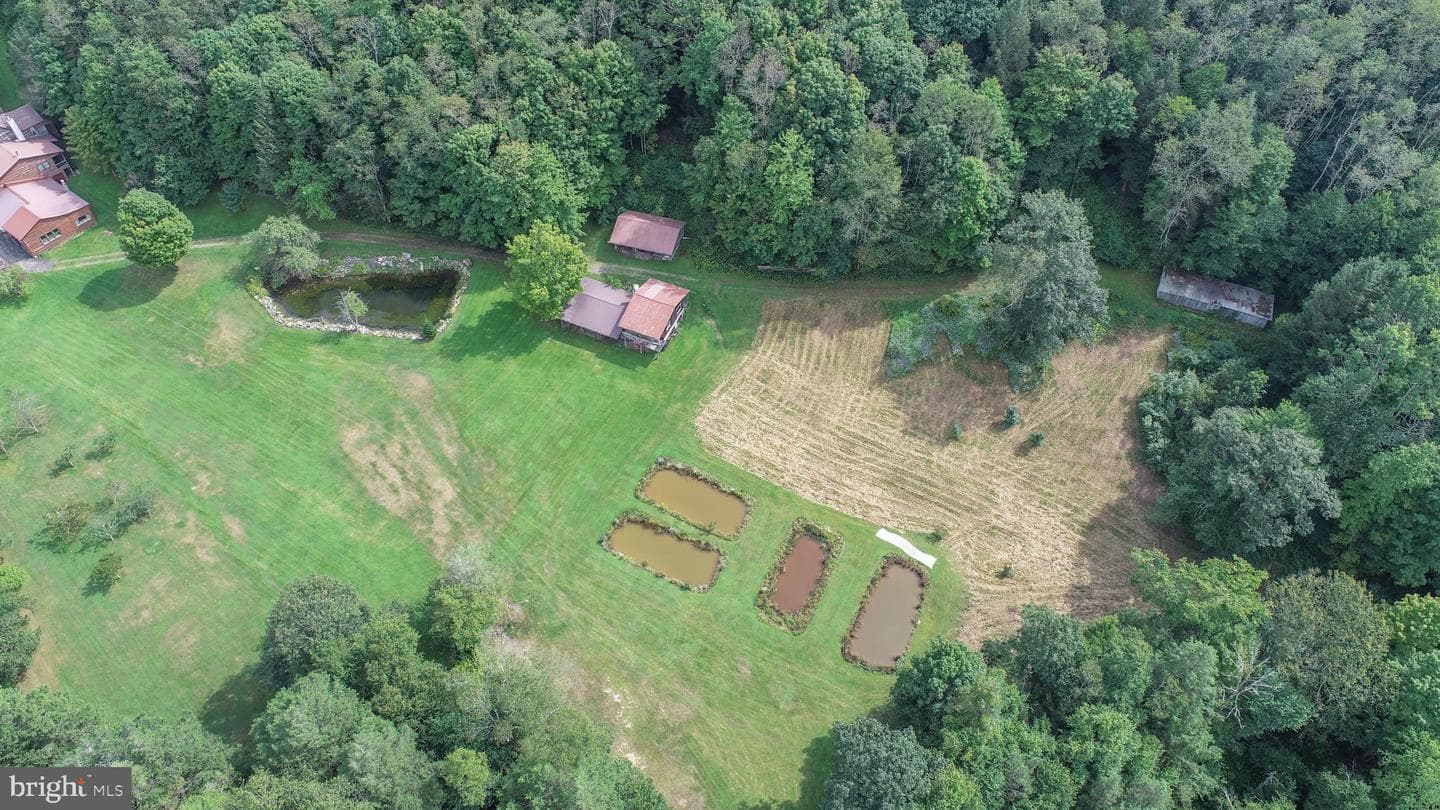 2527 Pigs Ear Road photo 77