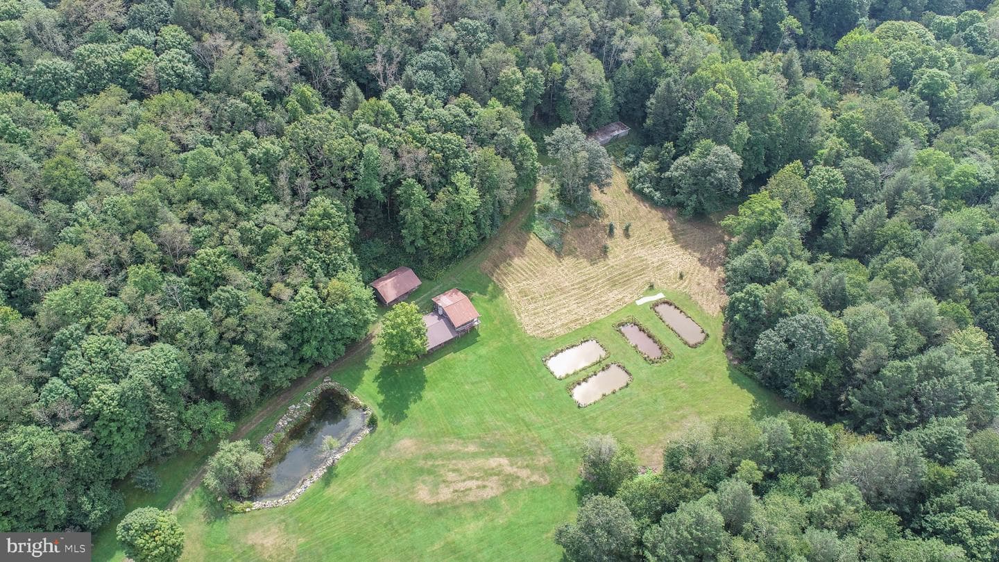 2527 Pigs Ear Road photo 84