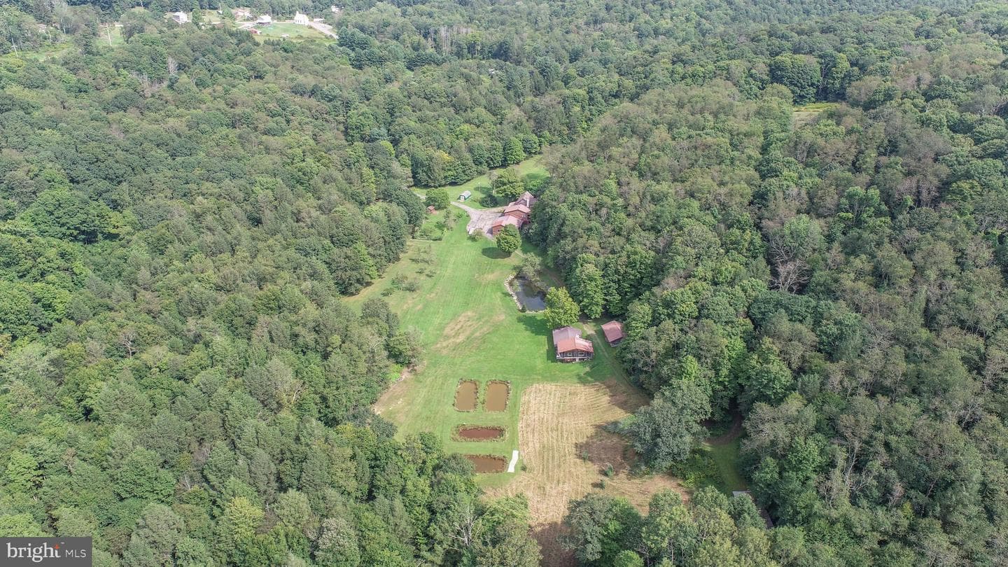 2527 Pigs Ear Road photo 85