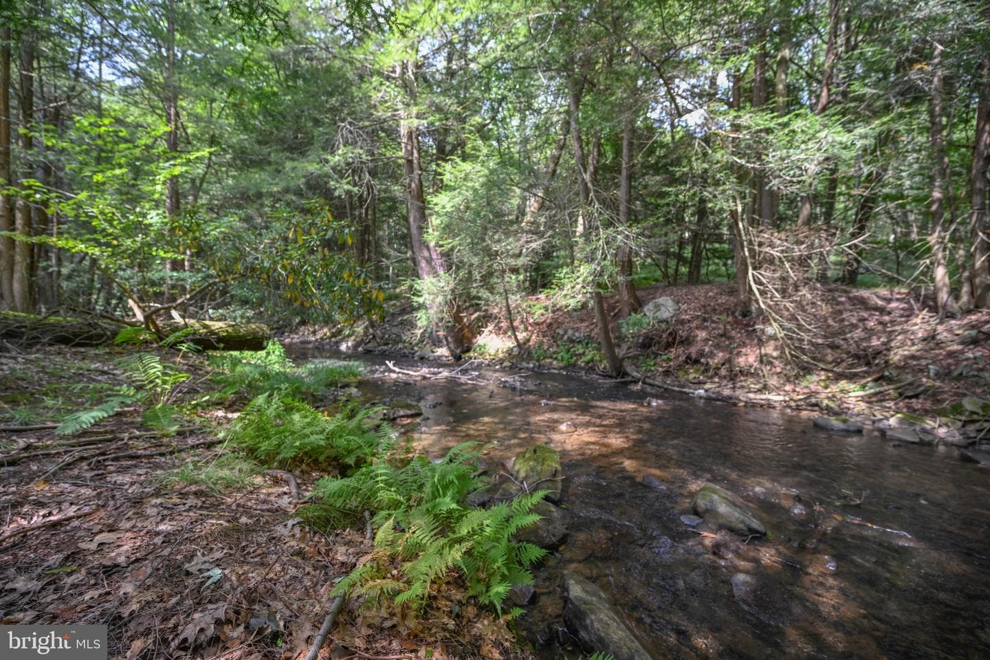 2527 Pigs Ear Road photo 9
