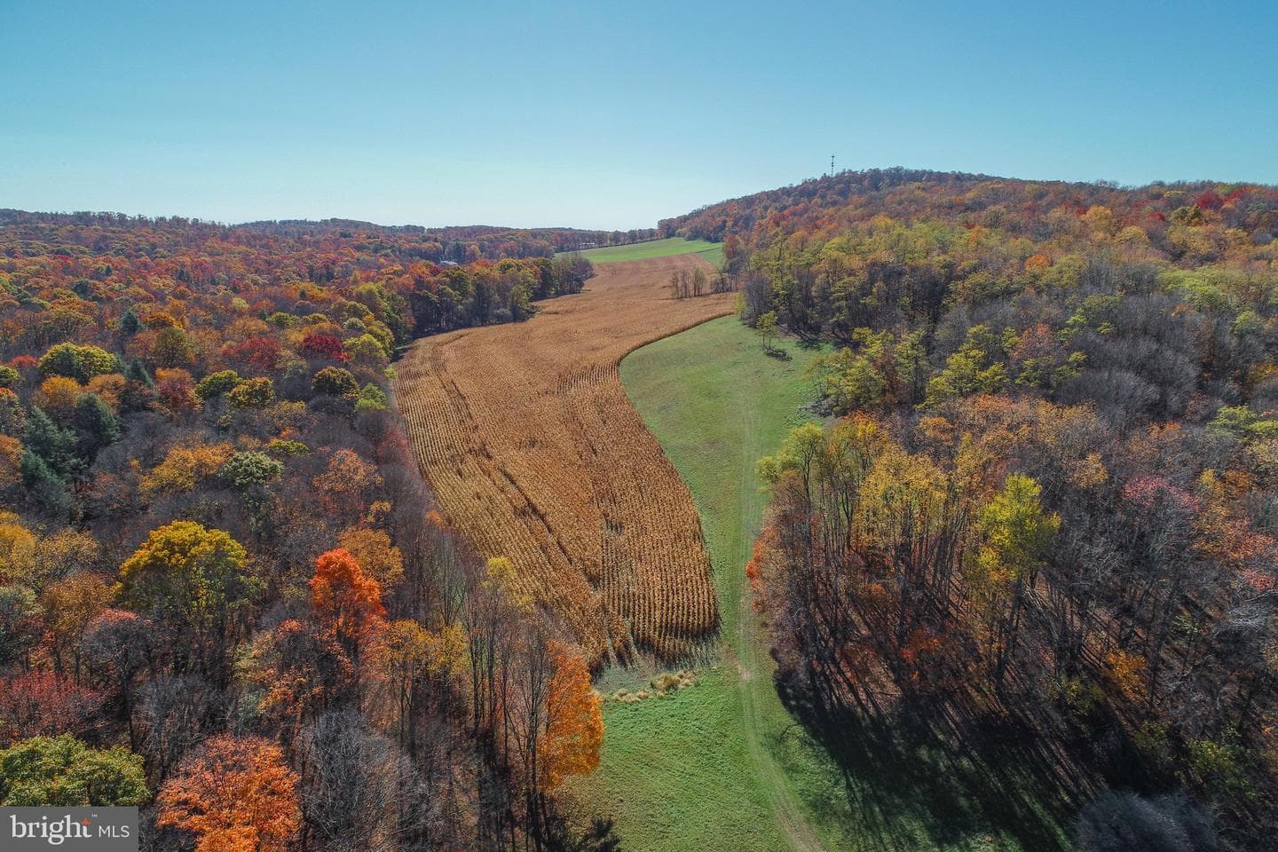 2527 Pigs Ear Road photo 93