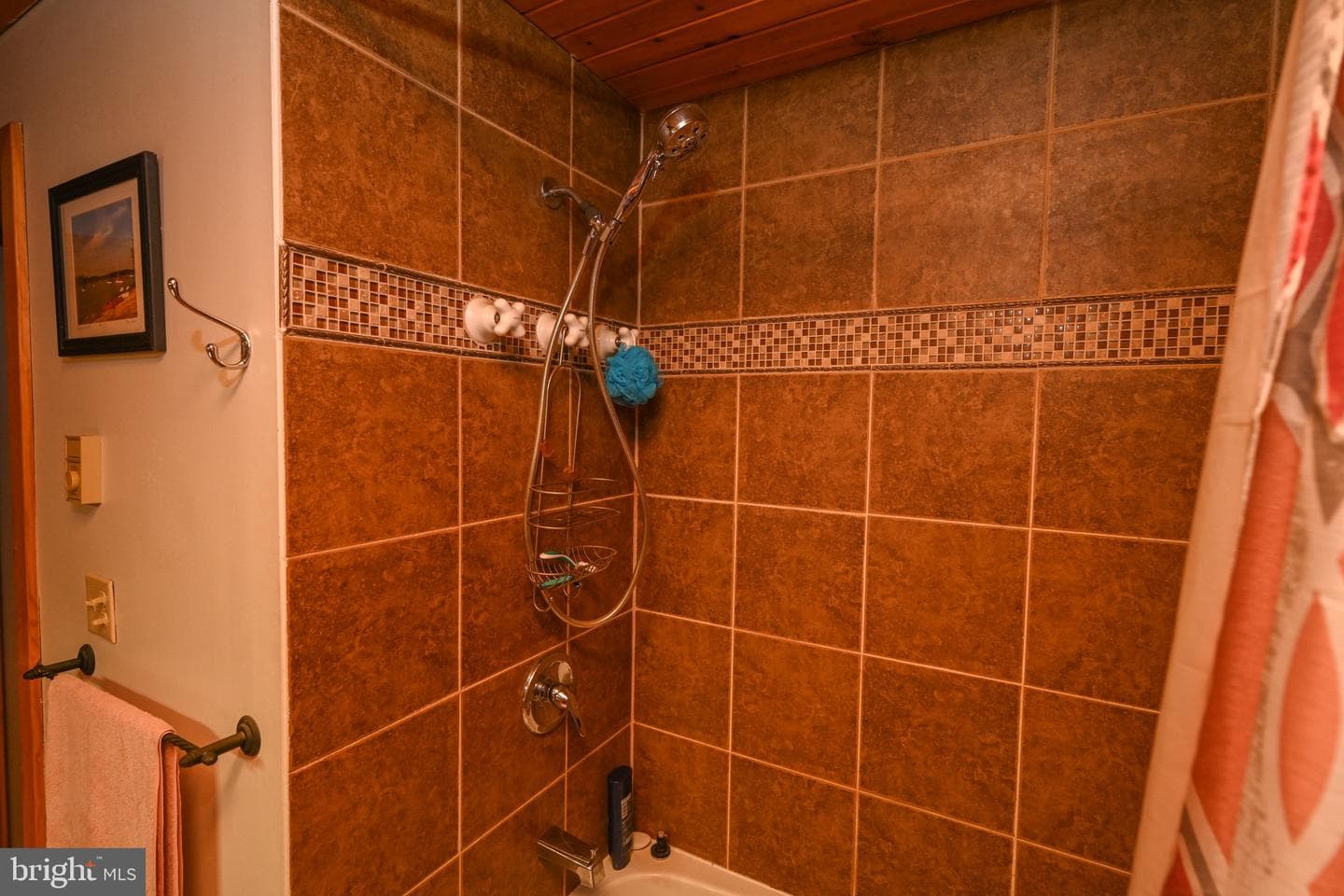 458 Meadow Mountain Trail photo 16