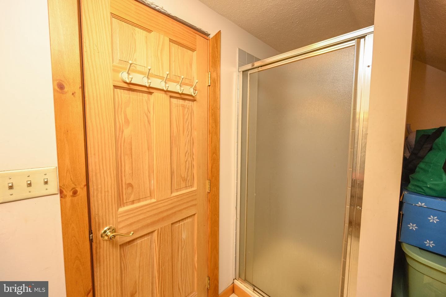 458 Meadow Mountain Trail photo 20