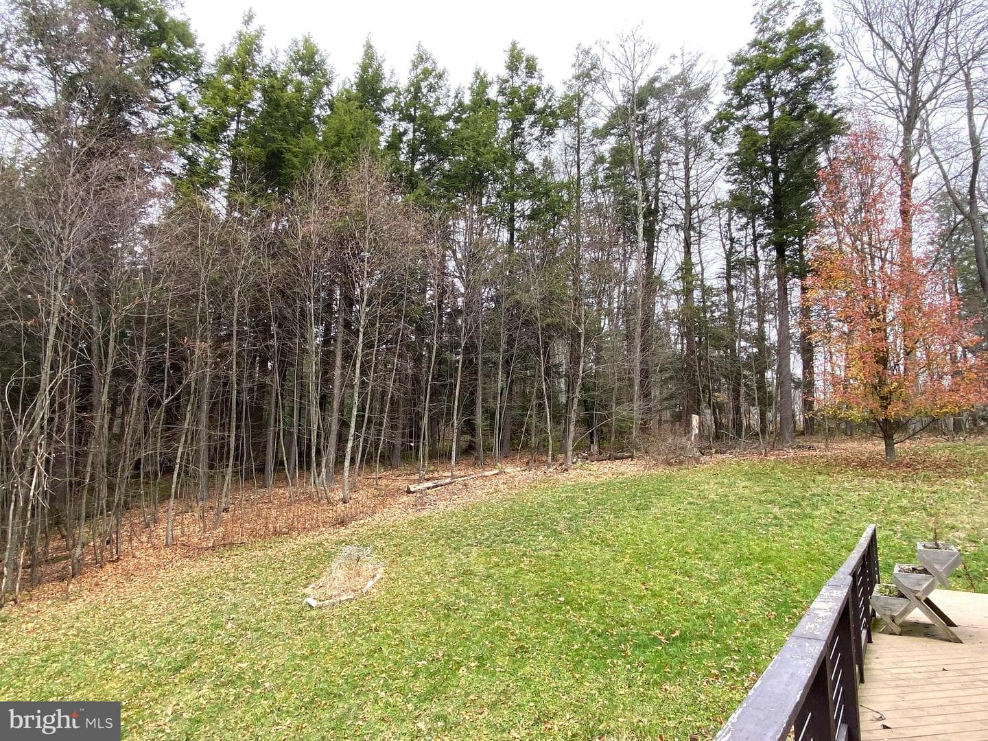 1843 Orendorf Road photo 56