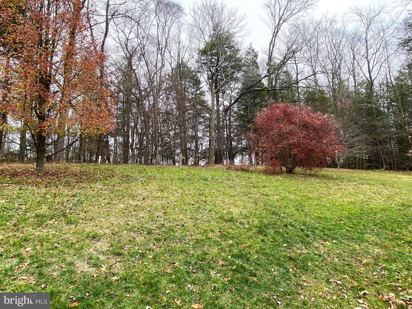 1843 Orendorf Road photo 57