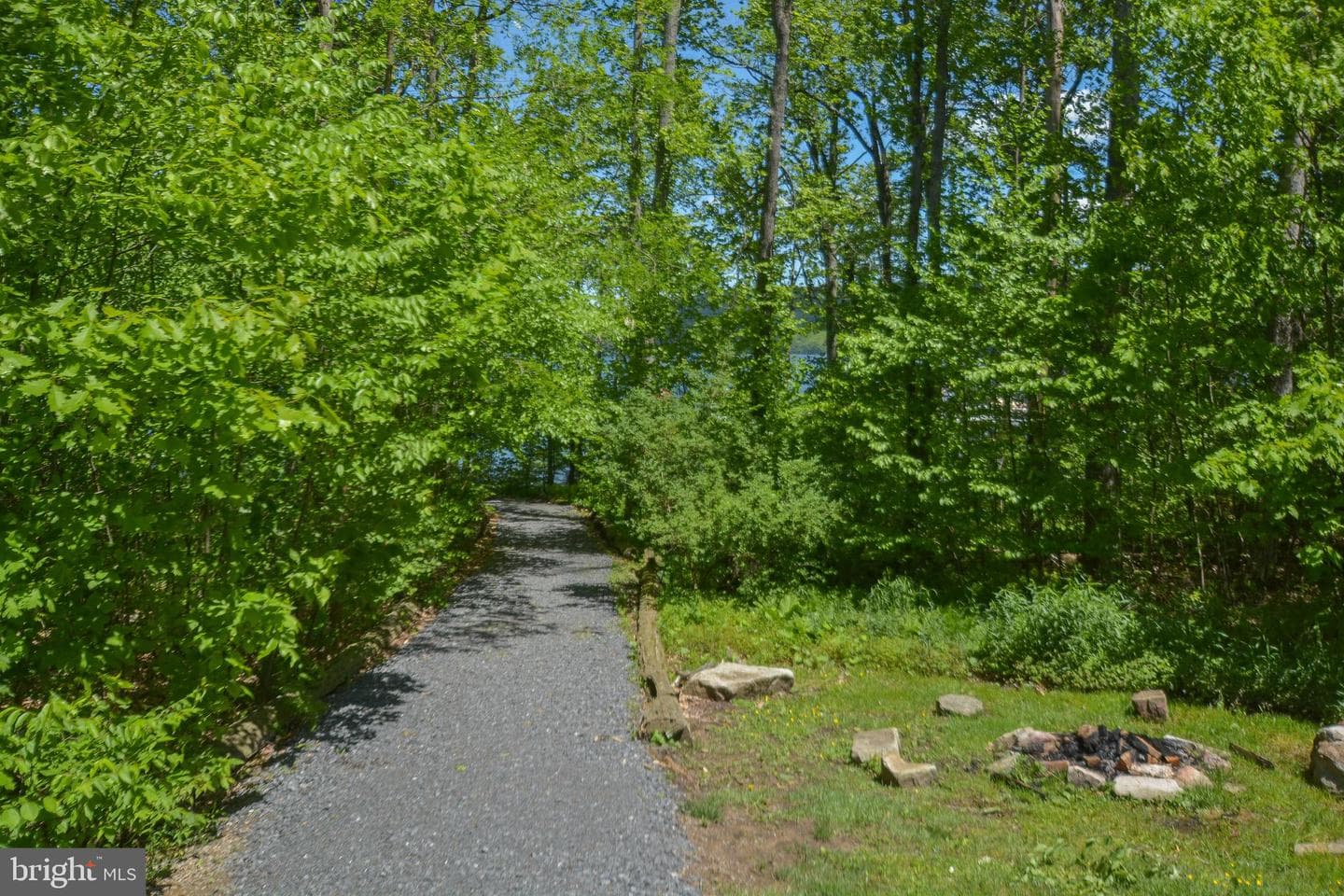 25 Silver Tree Lane photo 16