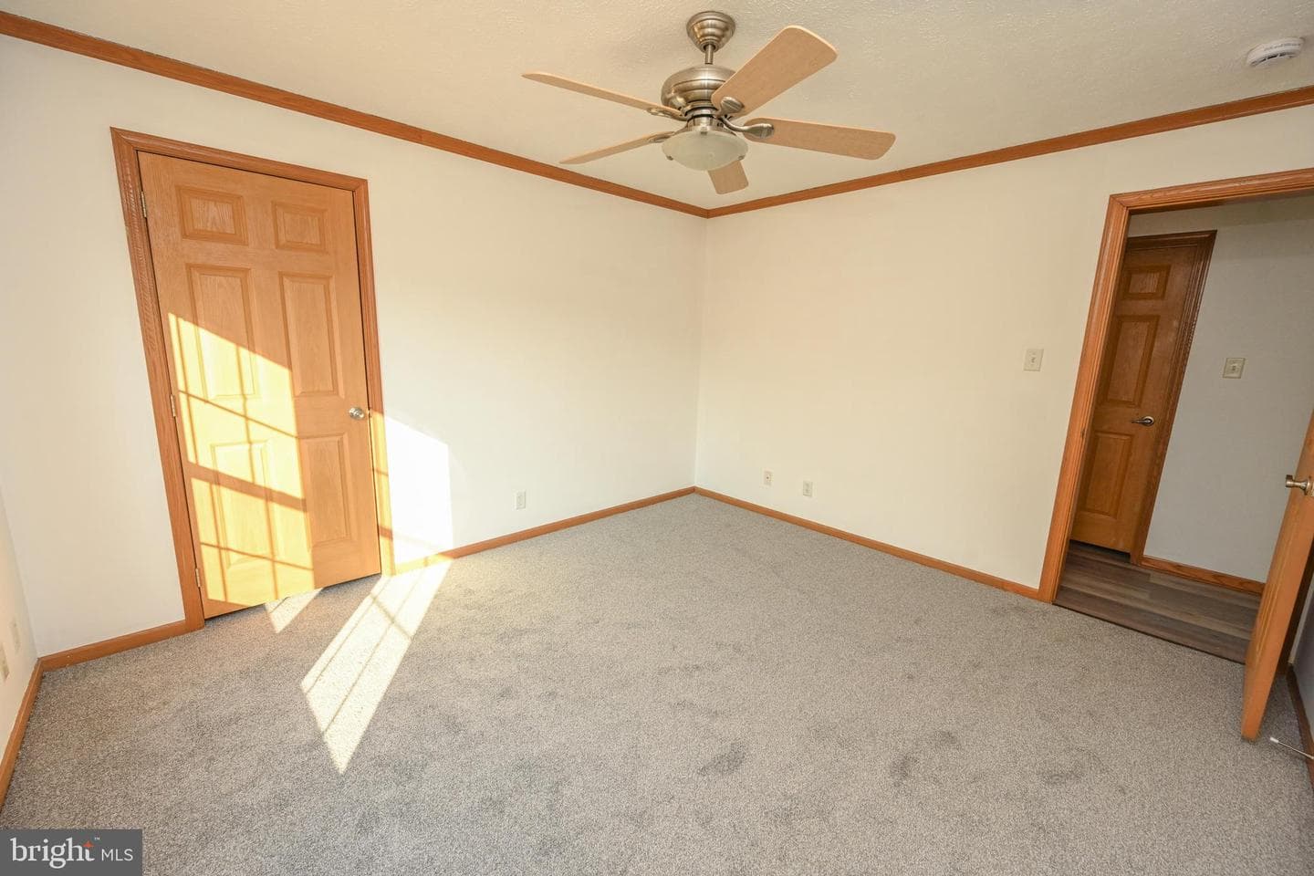 707 Sunshine Drive photo 14