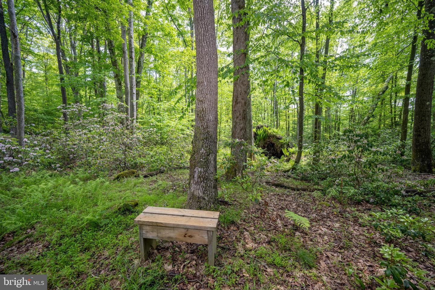 328 Stool Rock Road photo 101