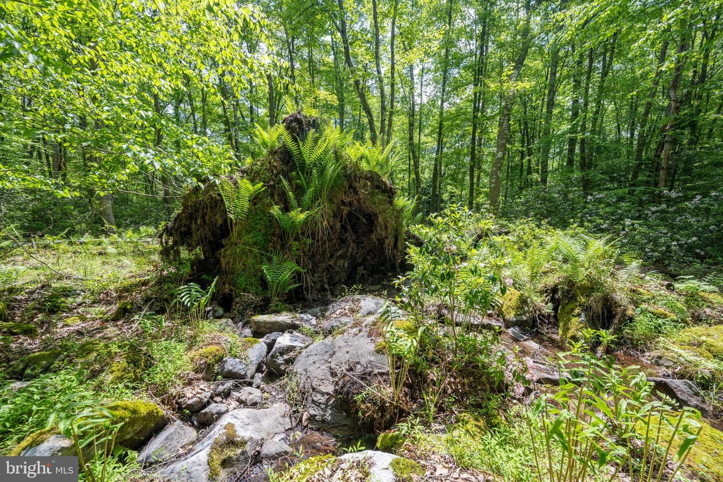 328 Stool Rock Road photo 102