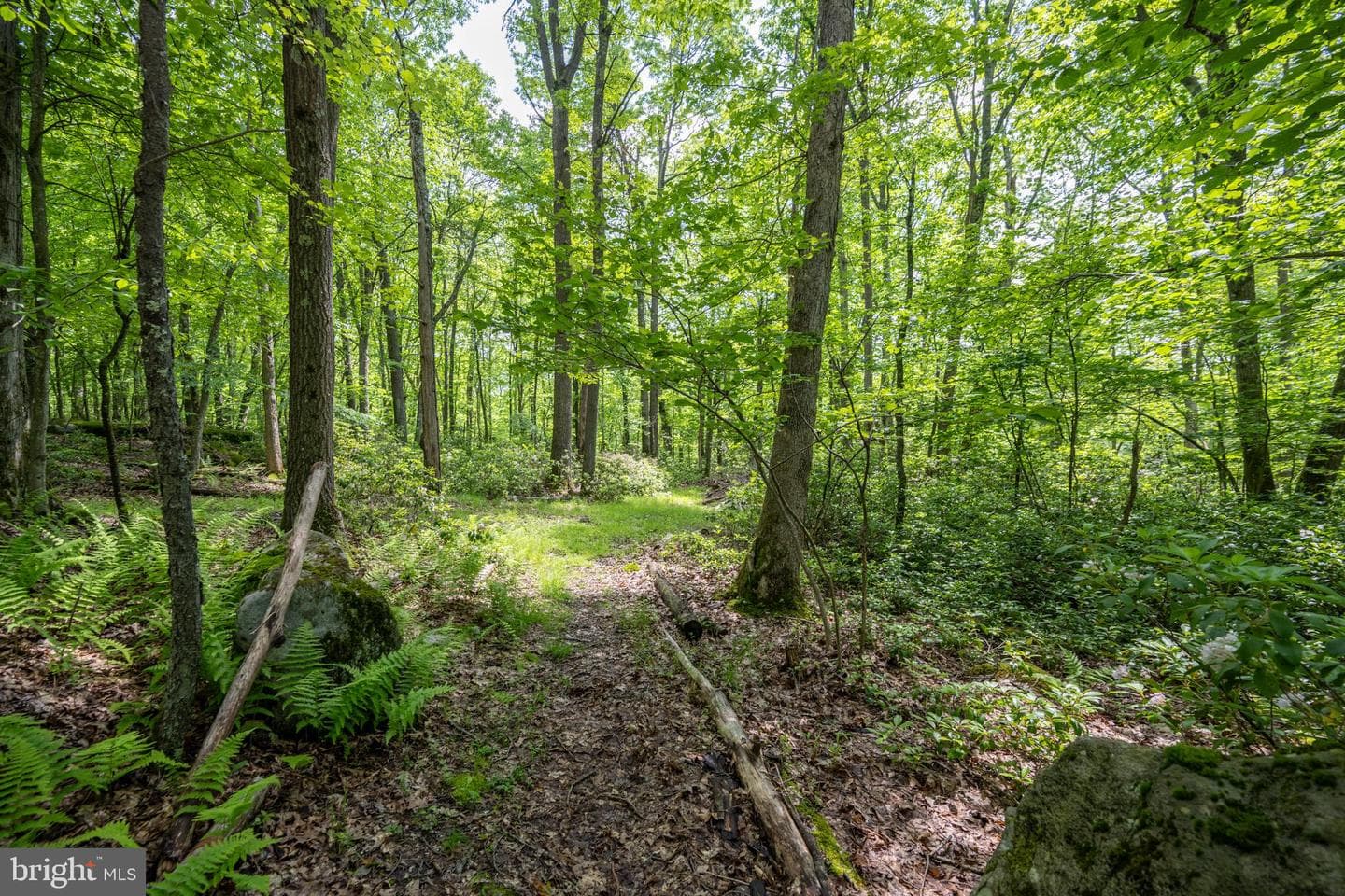 328 Stool Rock Road photo 104