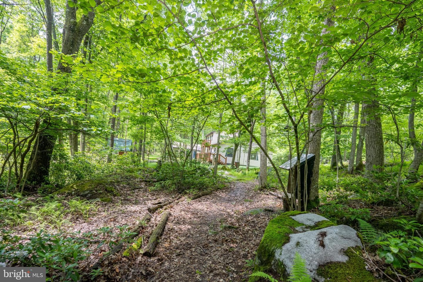 328 Stool Rock Road photo 105