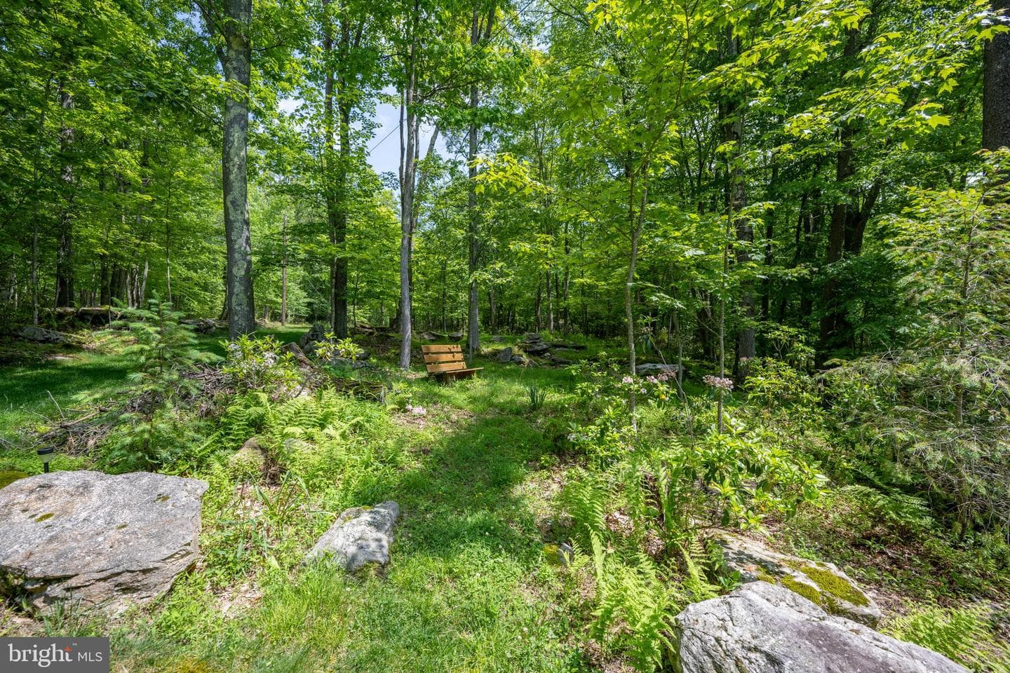 328 Stool Rock Road photo 108