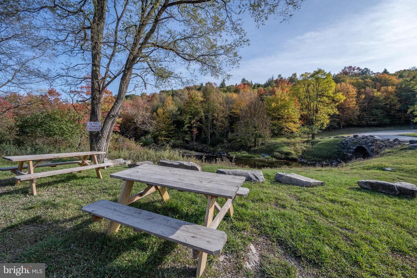 328 Stool Rock Road photo 125