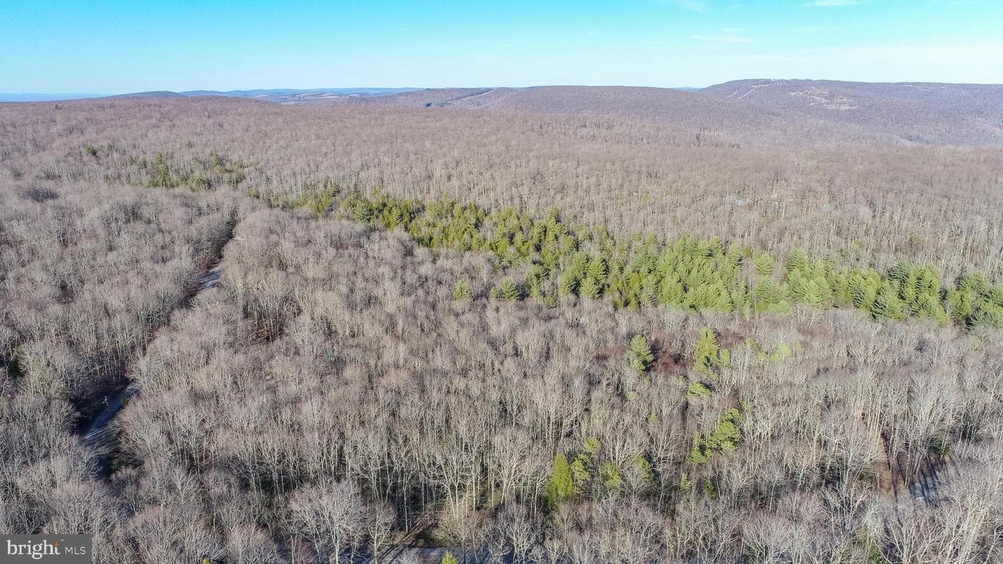 328 Stool Rock Road photo 26