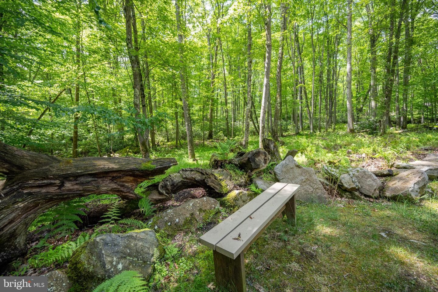 328 Stool Rock Road photo 33