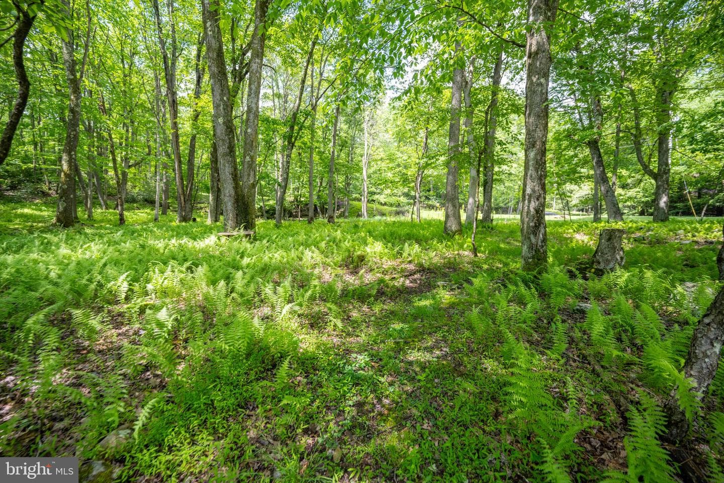 328 Stool Rock Road photo 86