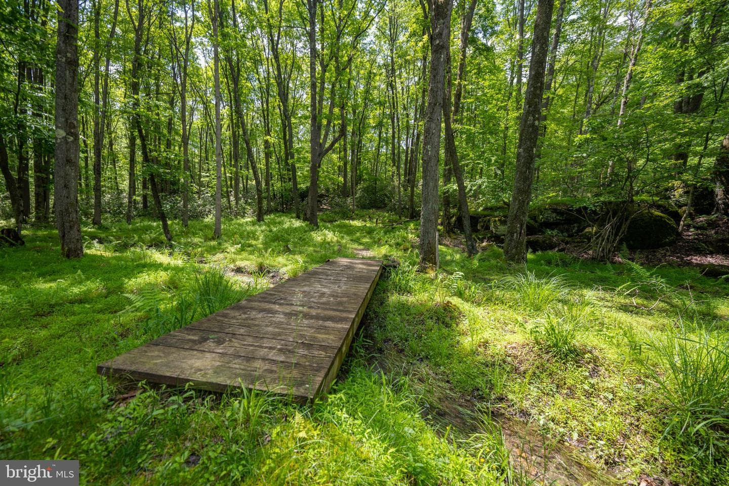 328 Stool Rock Road photo 88