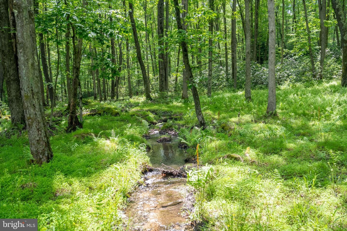 328 Stool Rock Road photo 91