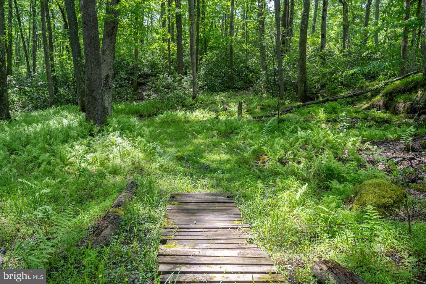 328 Stool Rock Road photo 92
