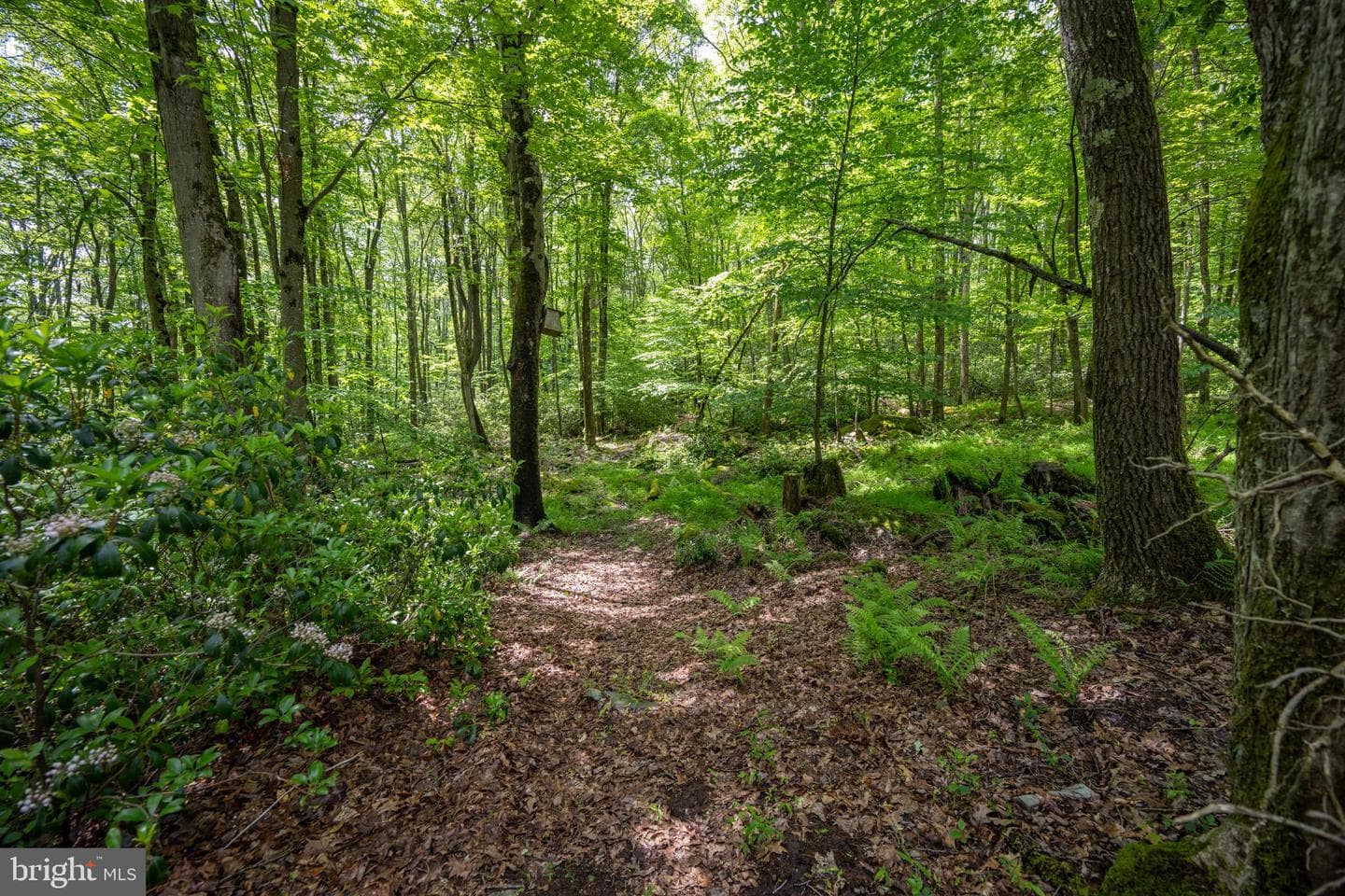 328 Stool Rock Road photo 97