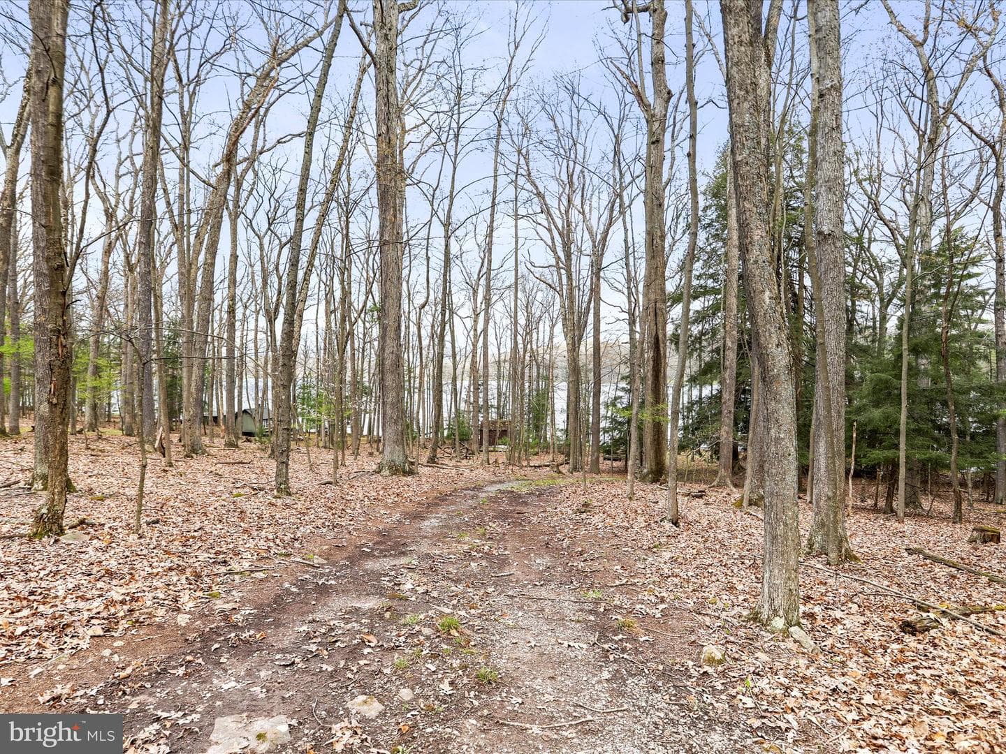 765 & Lakefront P 264 Beckmans Peninsula Road photo 12