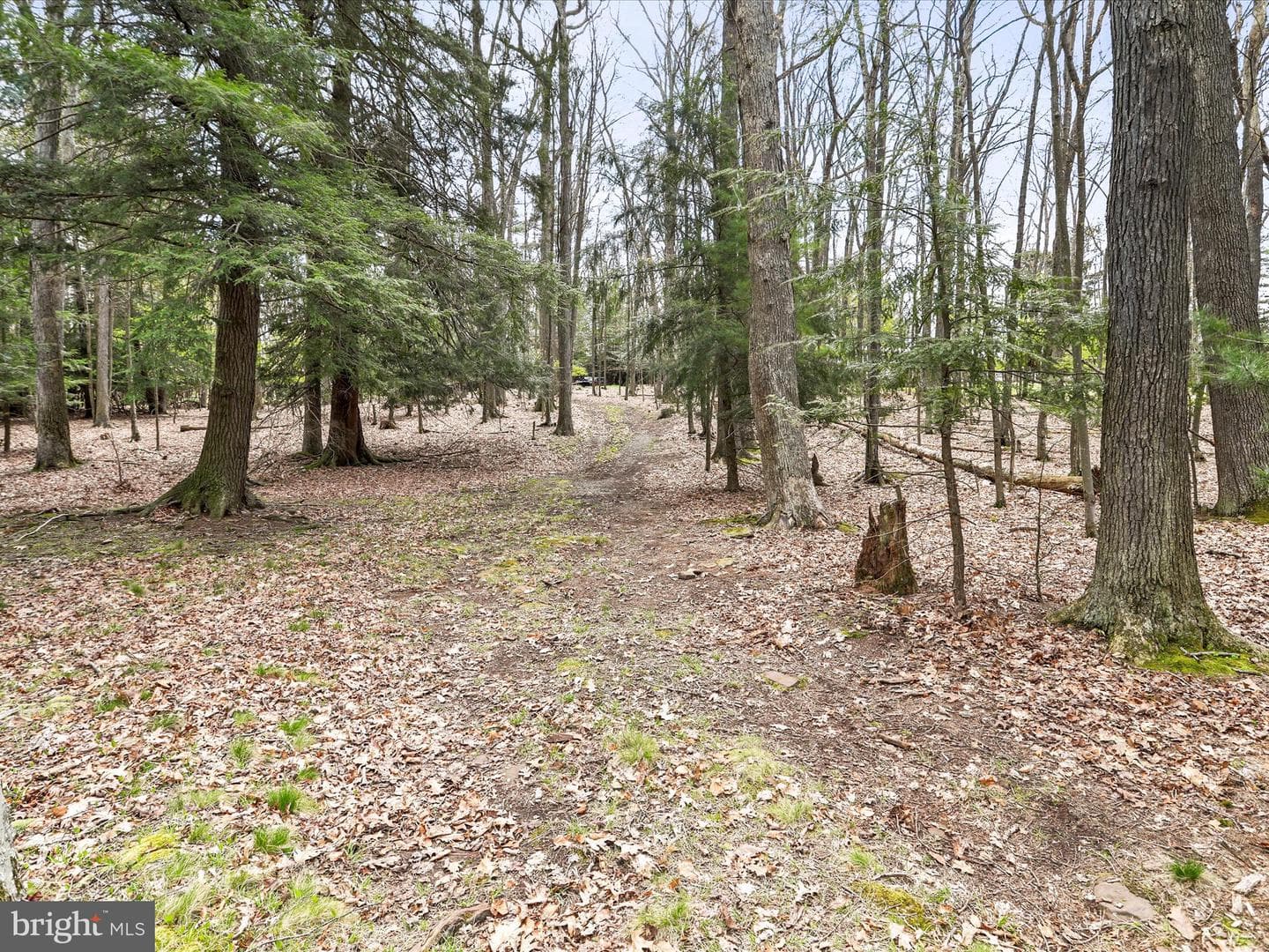 765 & Lakefront P 264 Beckmans Peninsula Road photo 7
