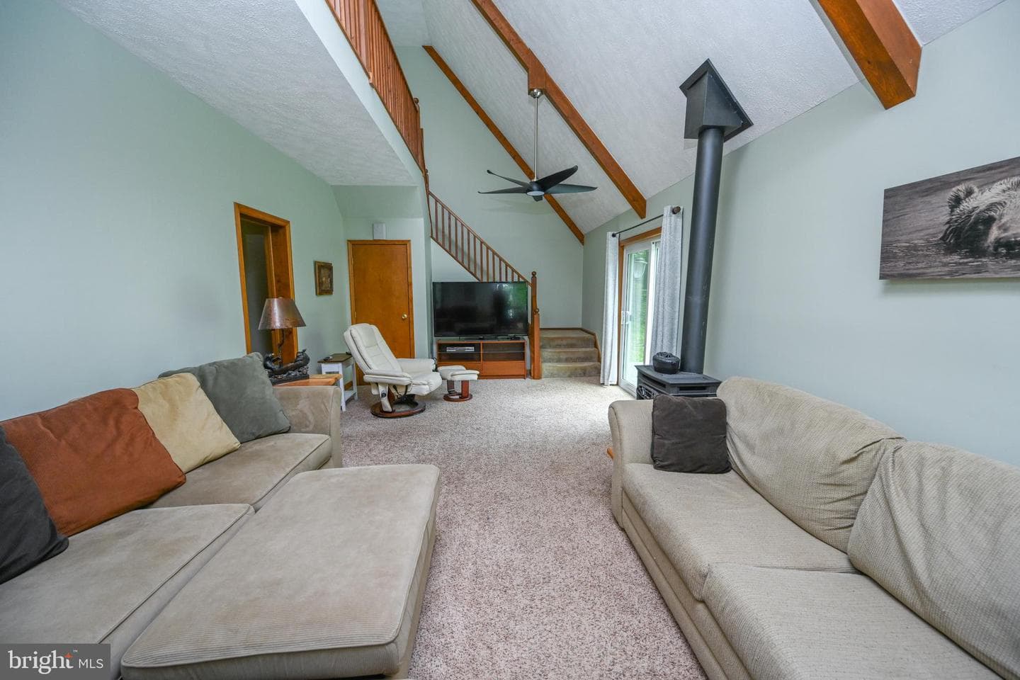 590 Bearfoot photo 12