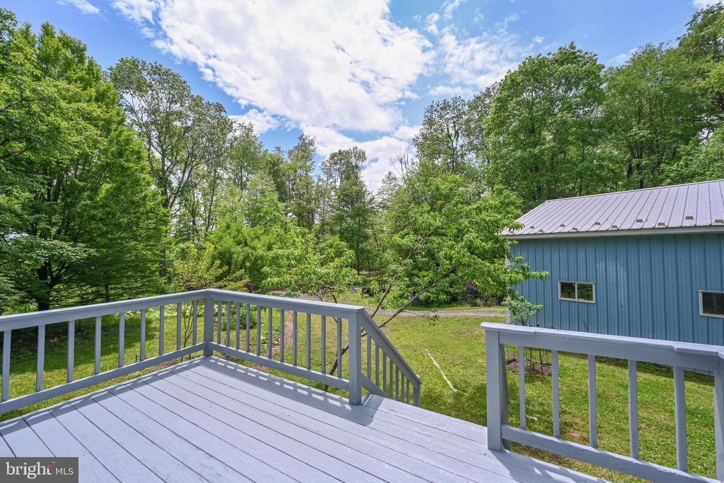 590 Bearfoot photo 3
