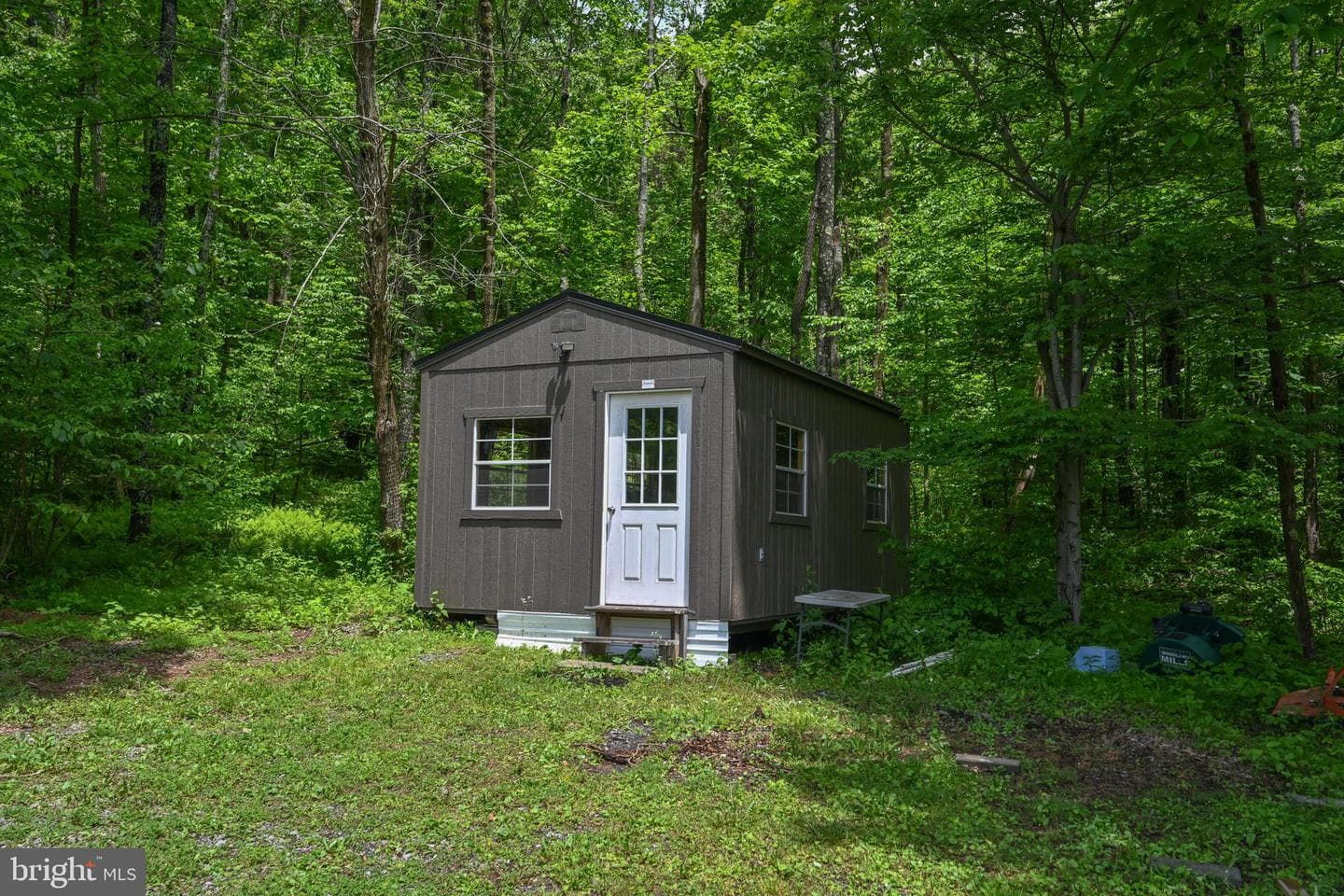 590 Bearfoot photo 39