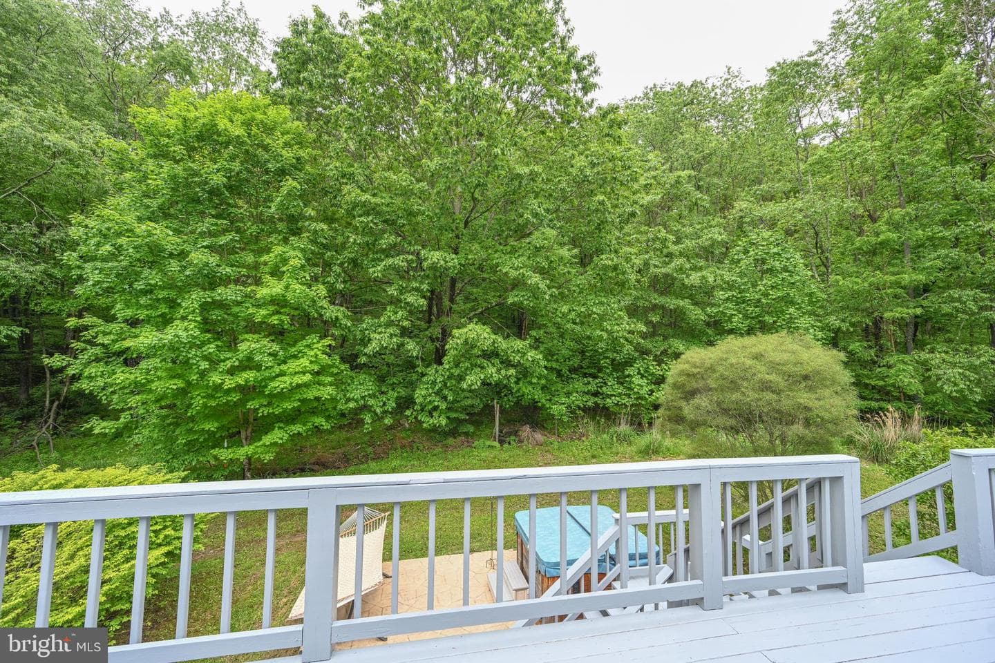 590 Bearfoot photo 45