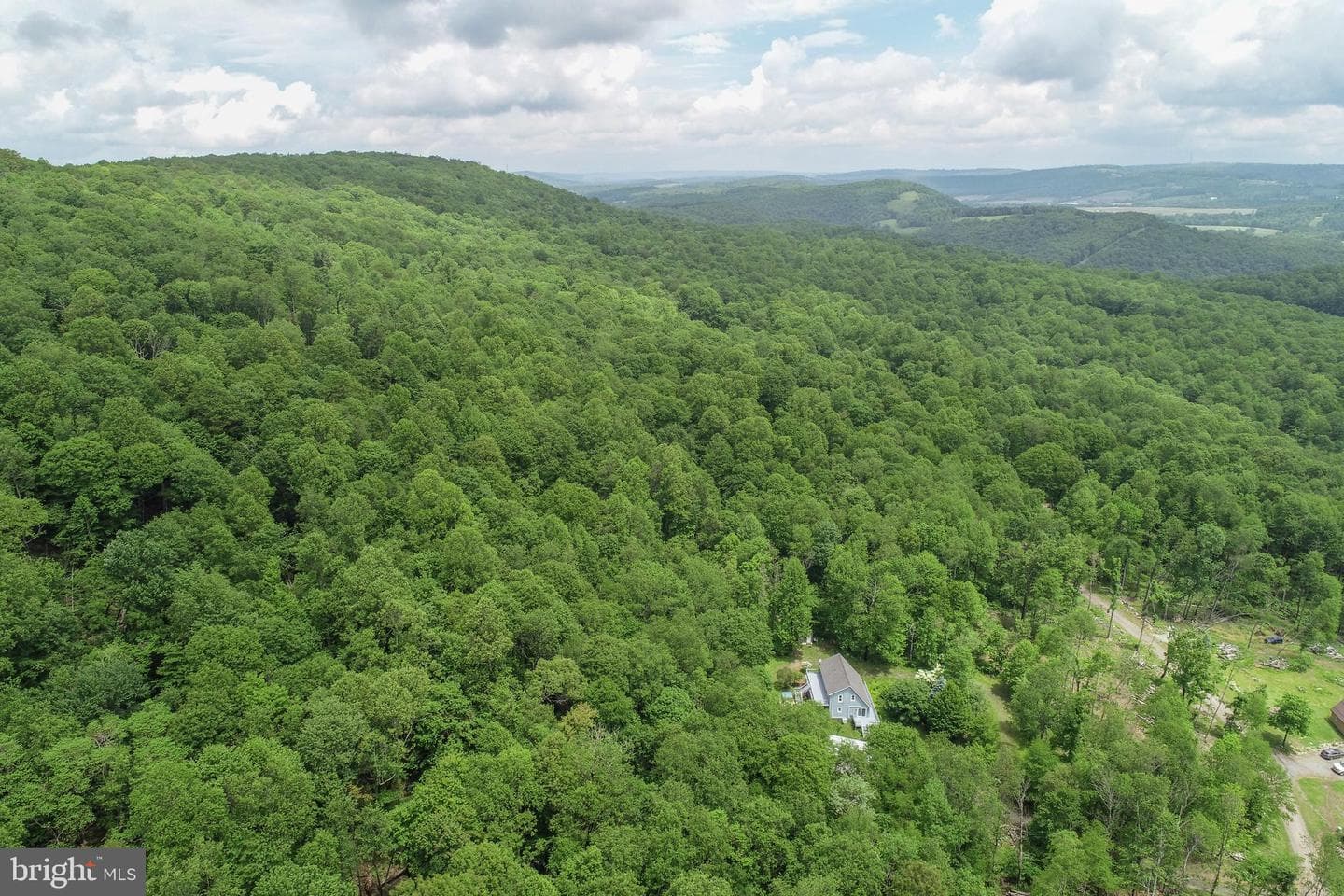 590 Bearfoot photo 50