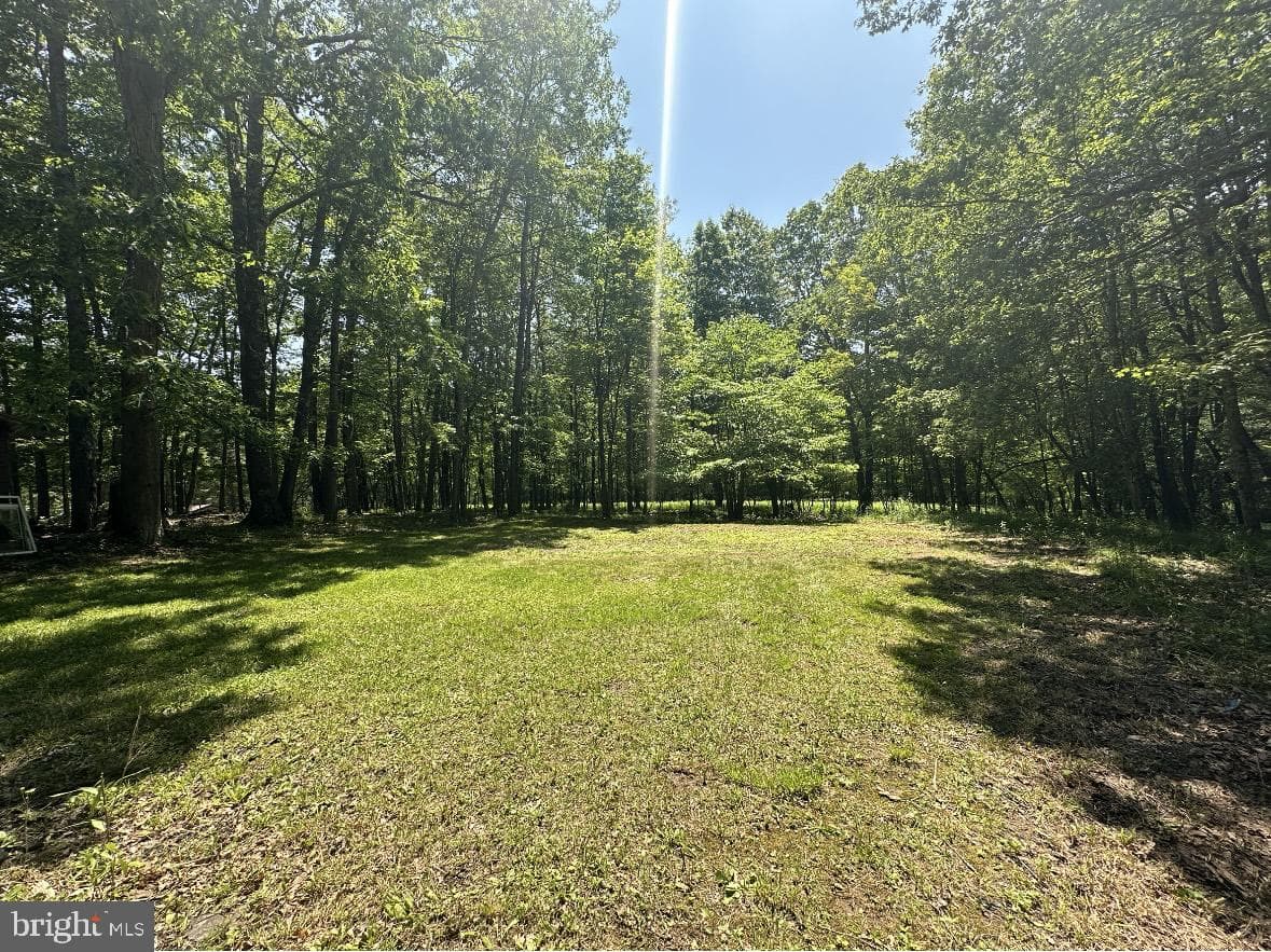 1681 Shady Dell Road photo 31