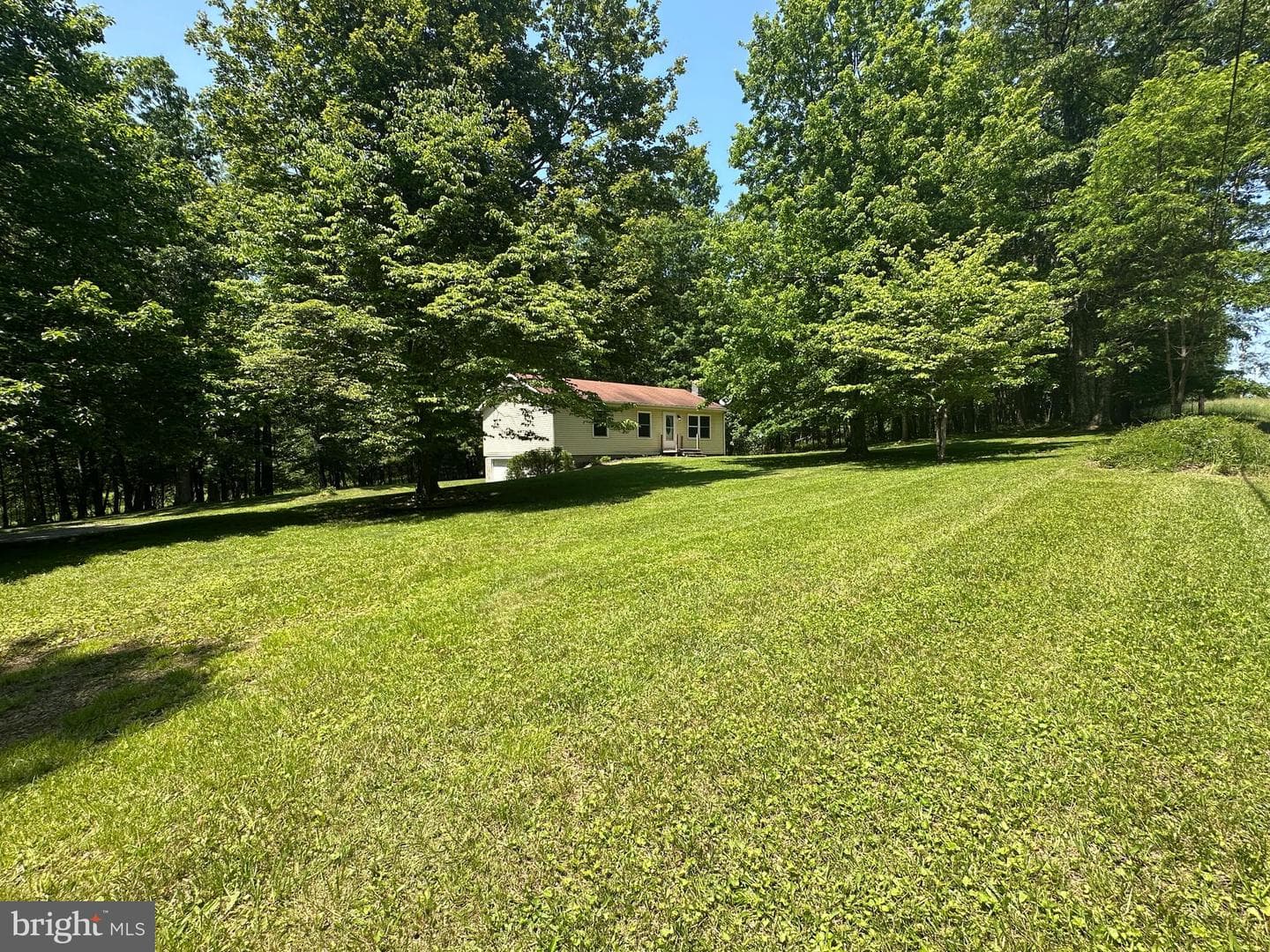 1681 Shady Dell Road photo 6