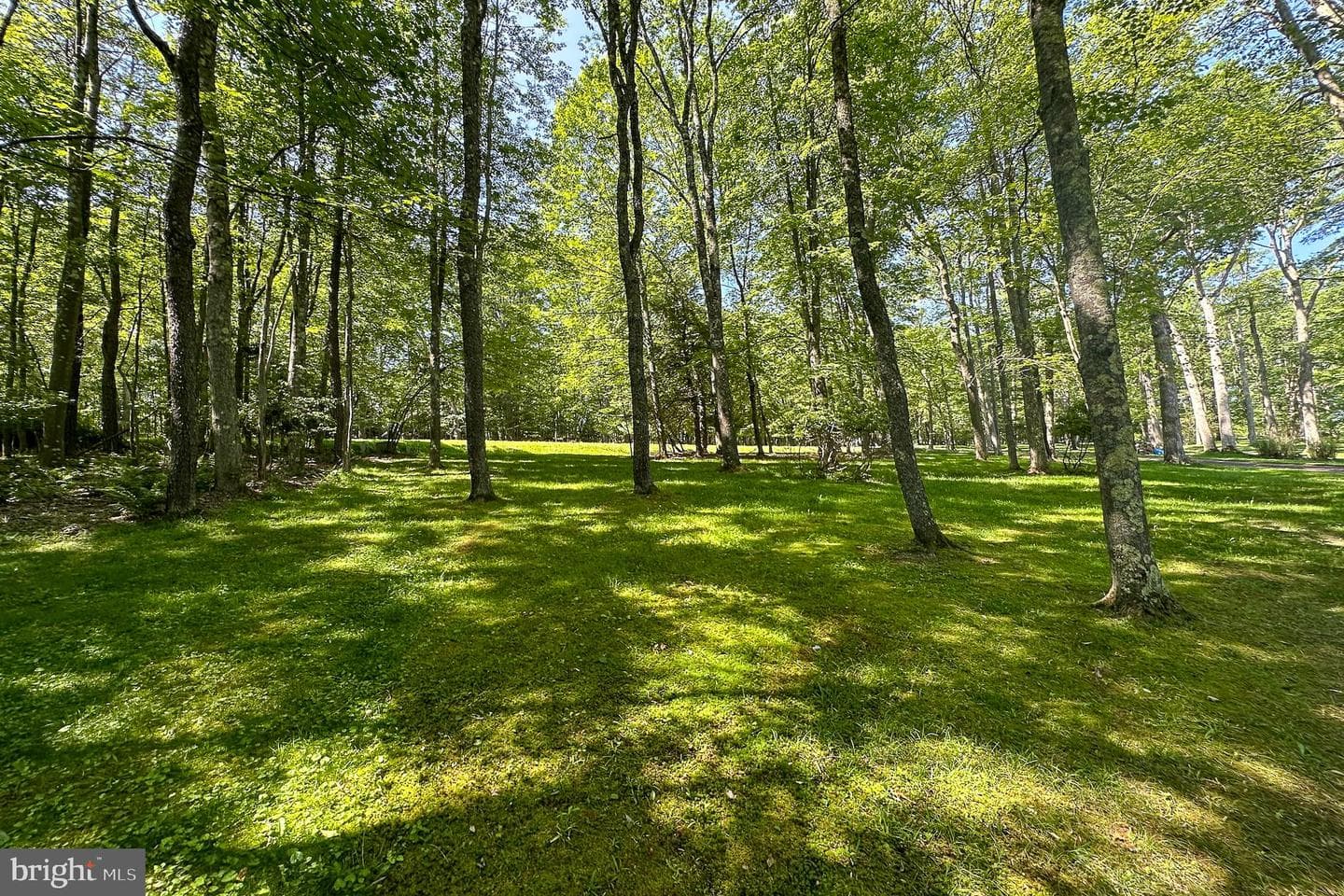 421 Penn Cove Road photo 97