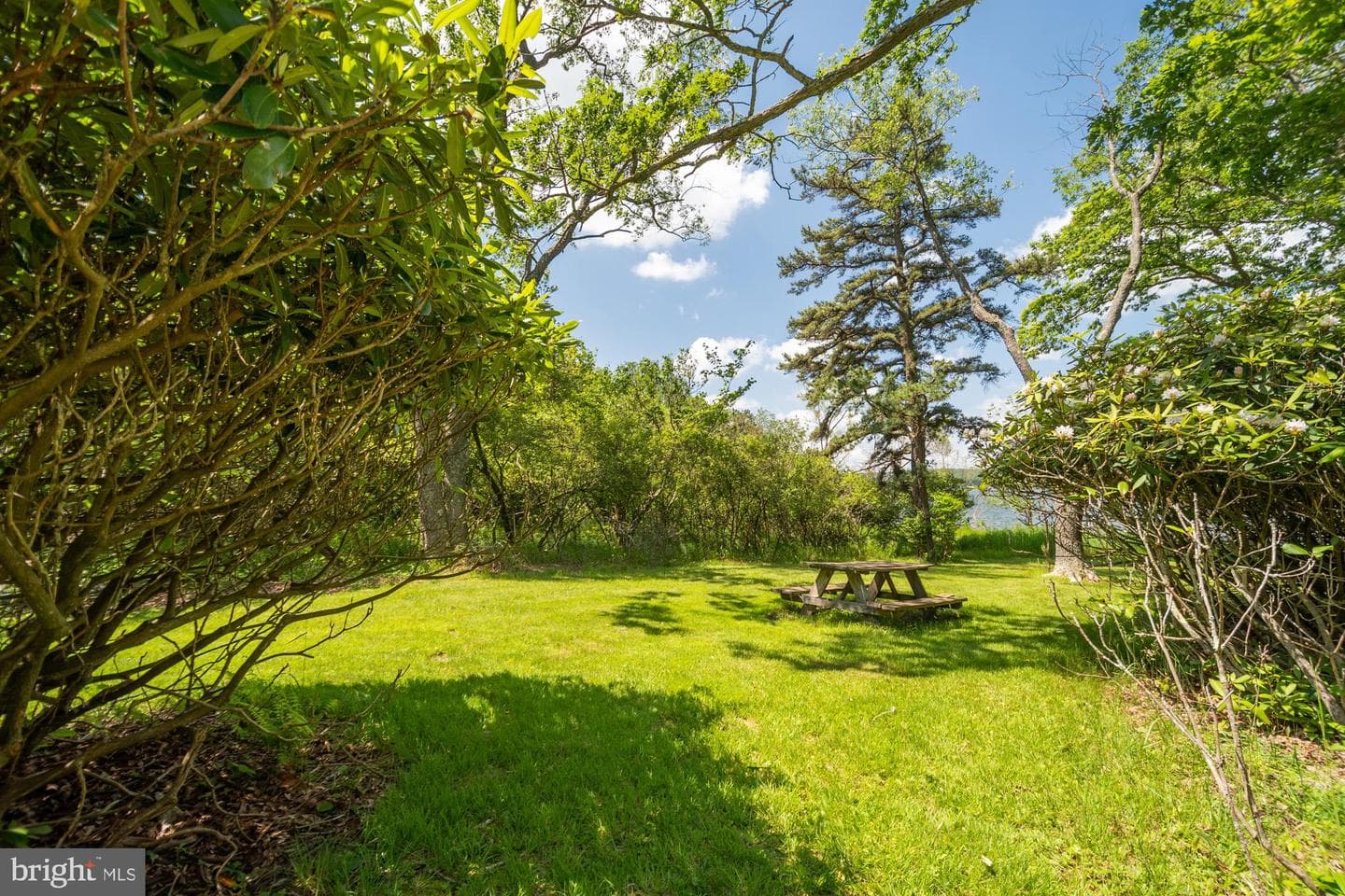 2895 Turkey Neck Road photo 5