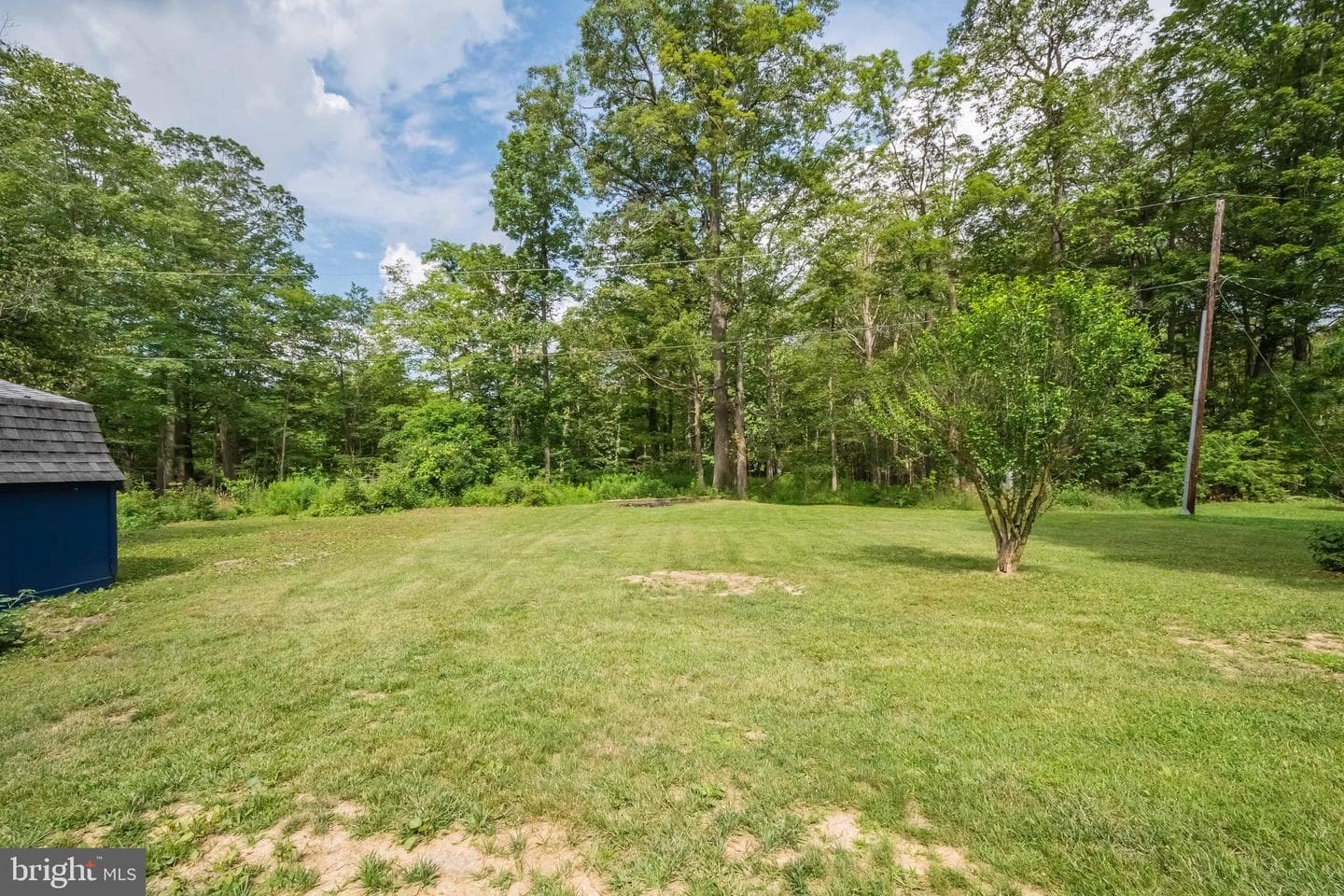 4211 Chestnut Ridge Road photo 9