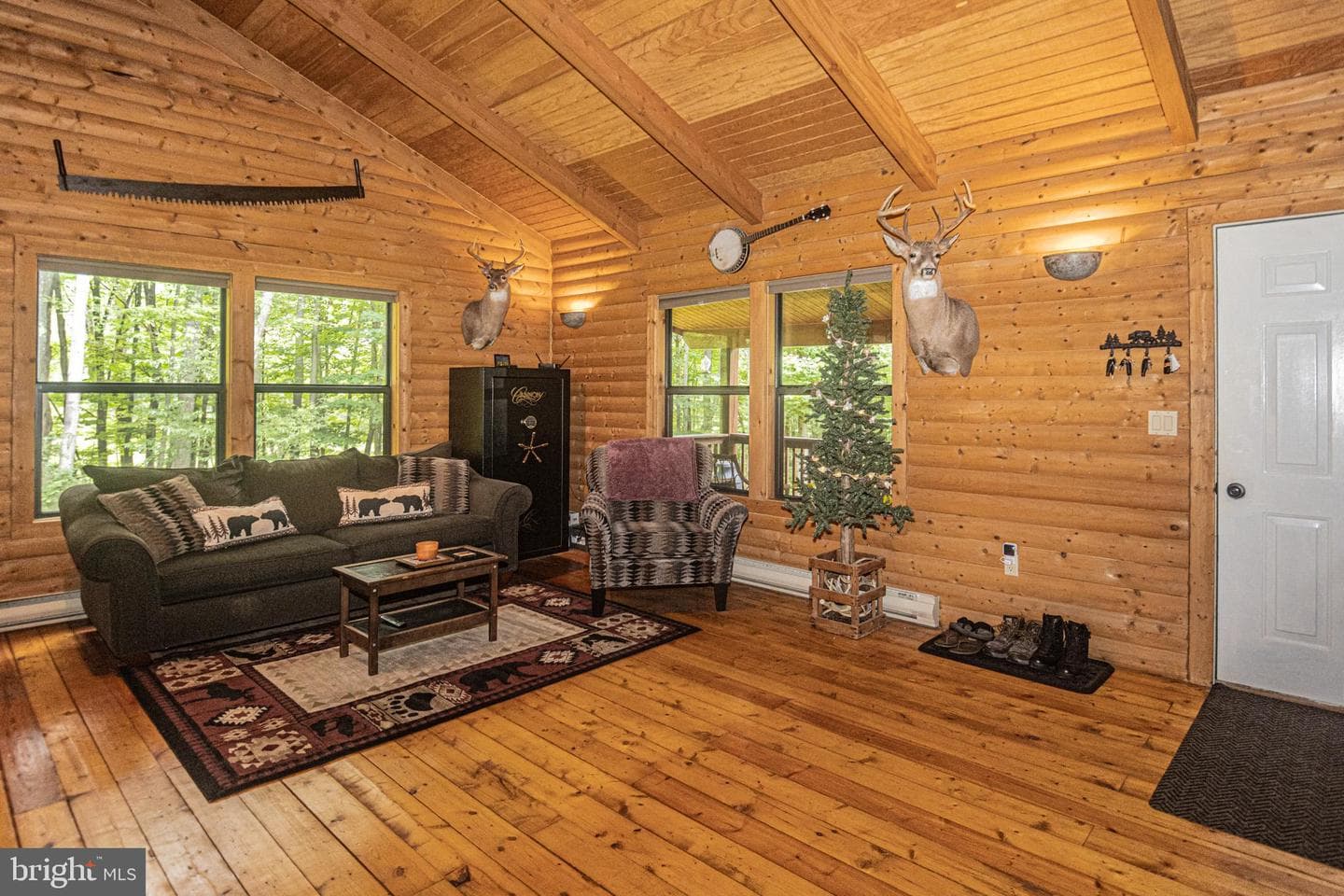 175 Brook Trout Court photo 15