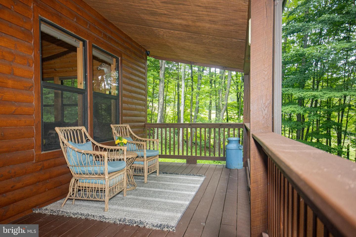 175 Brook Trout Court photo 24