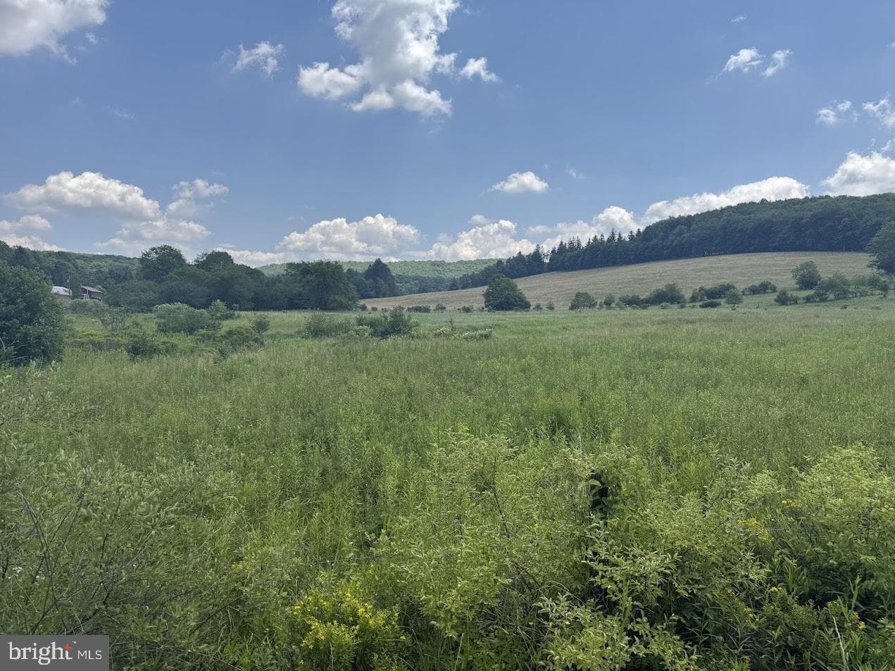 1570 Garrett Road photo 24
