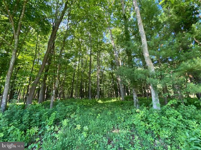 7216 Sang Run Road photo 36