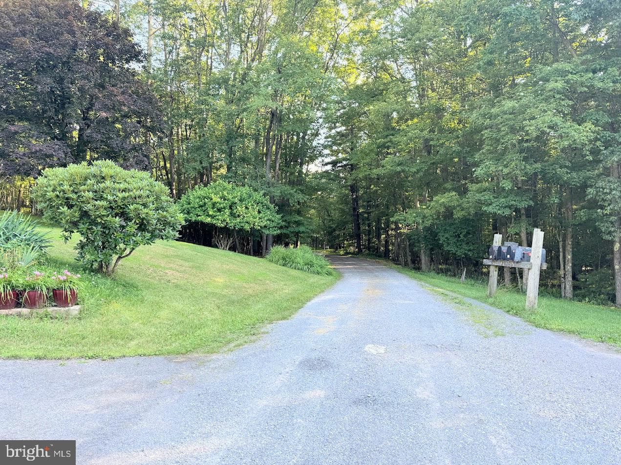 126 Beckman Lohr Road photo 13