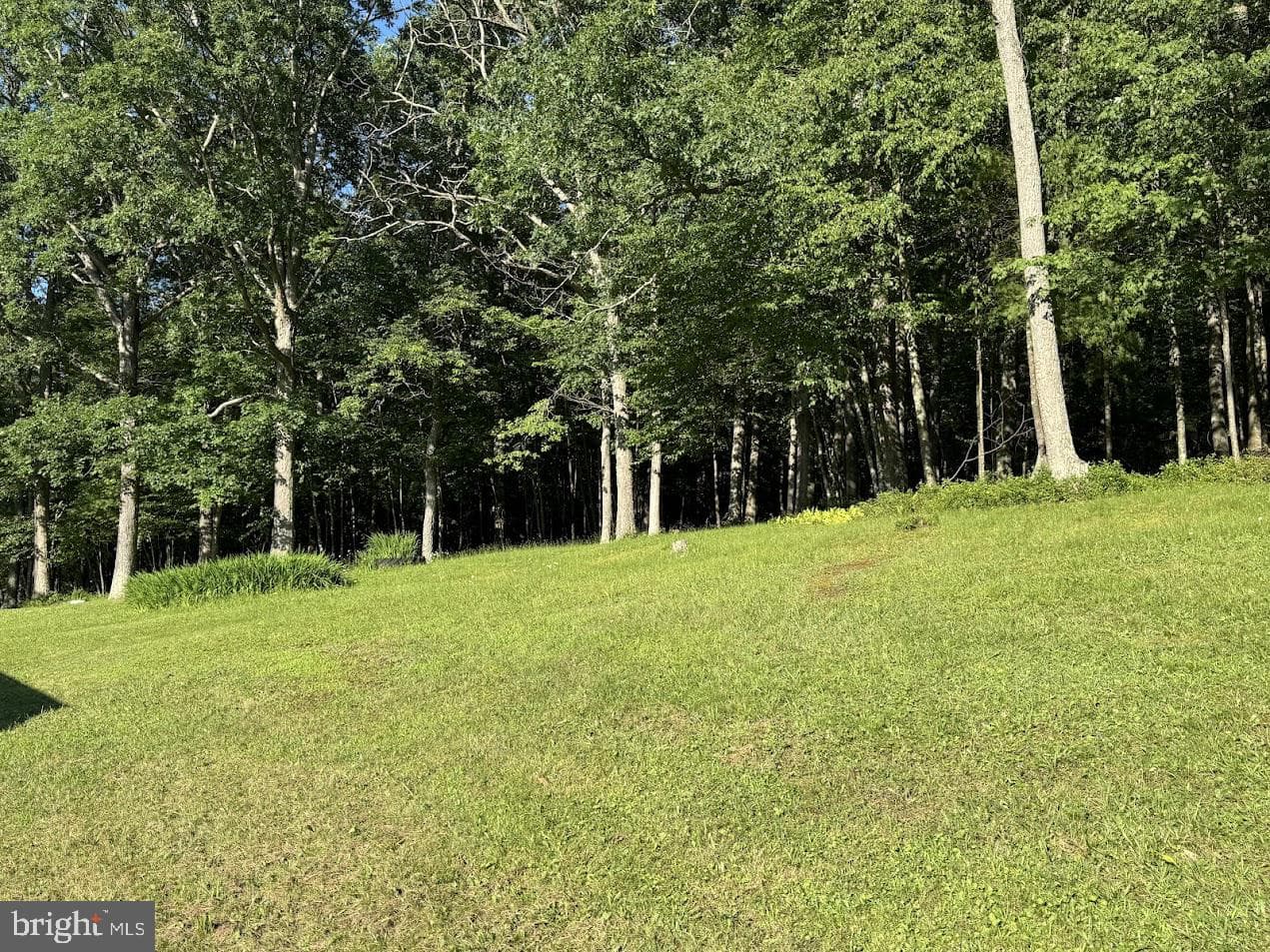 126 Beckman Lohr Road photo 14