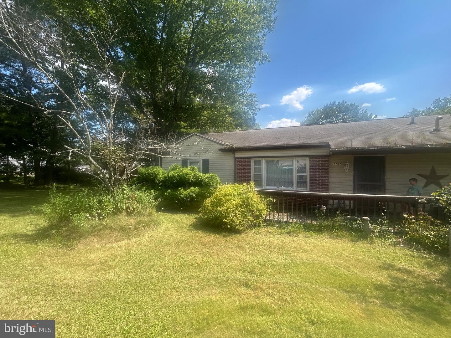 1101 Wheeling Ave photo 7