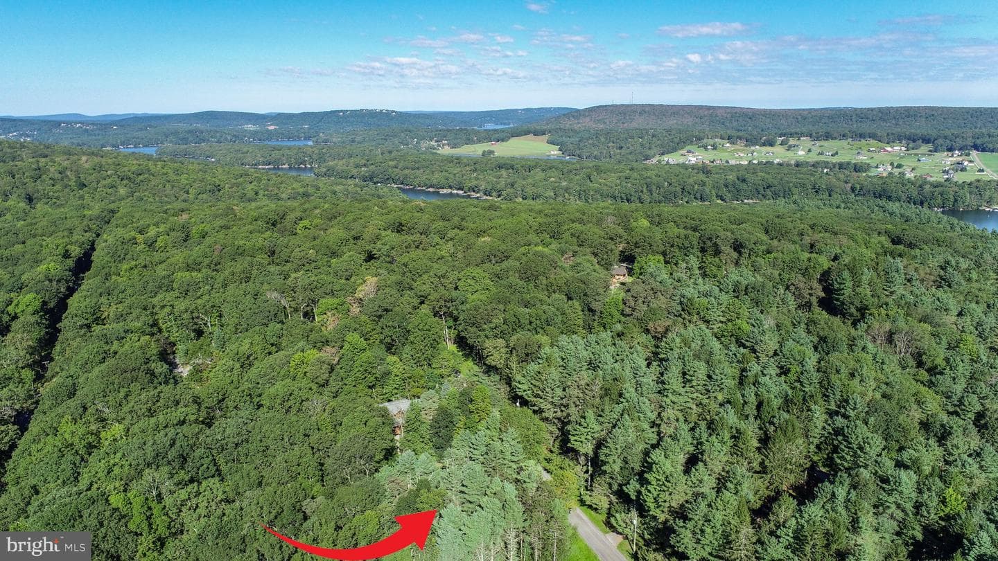 189 Deer Run Lane photo 43