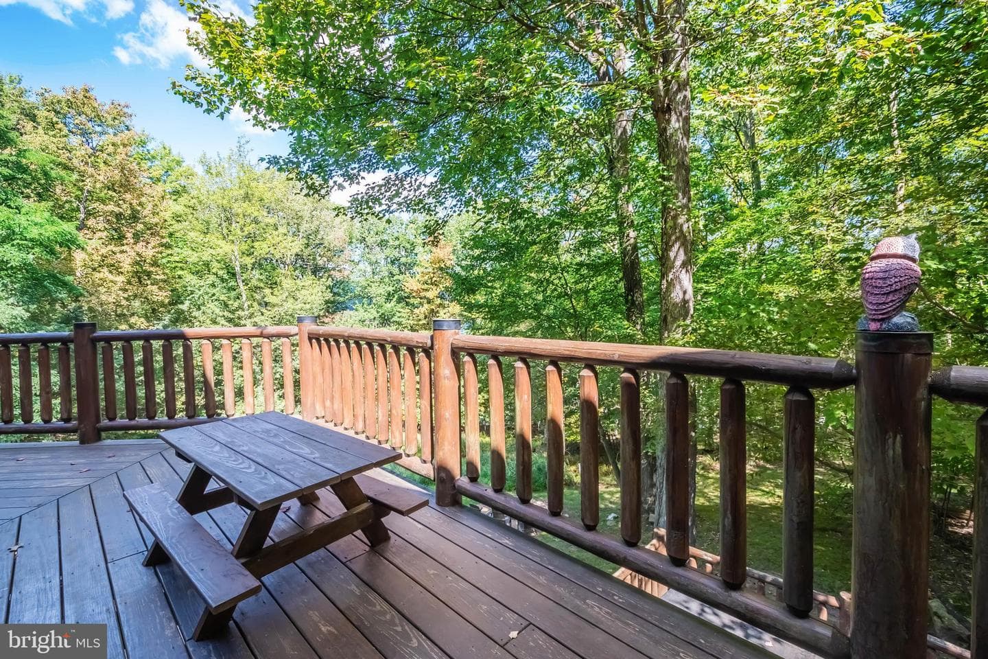 78 Mountainside Court photo 52