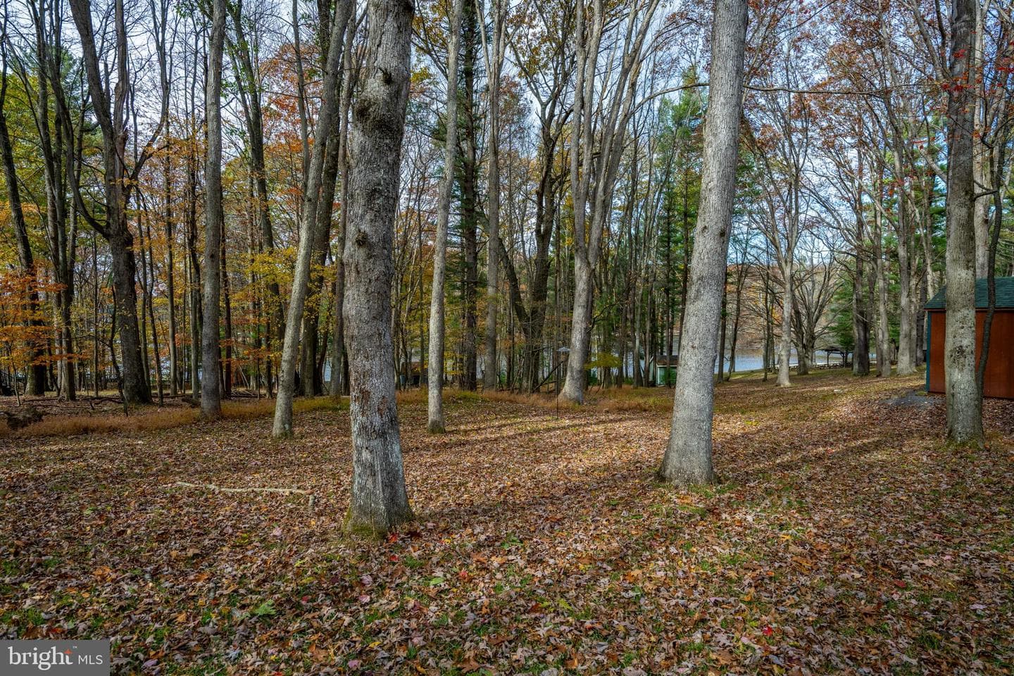48 Piney Point Drive photo 6