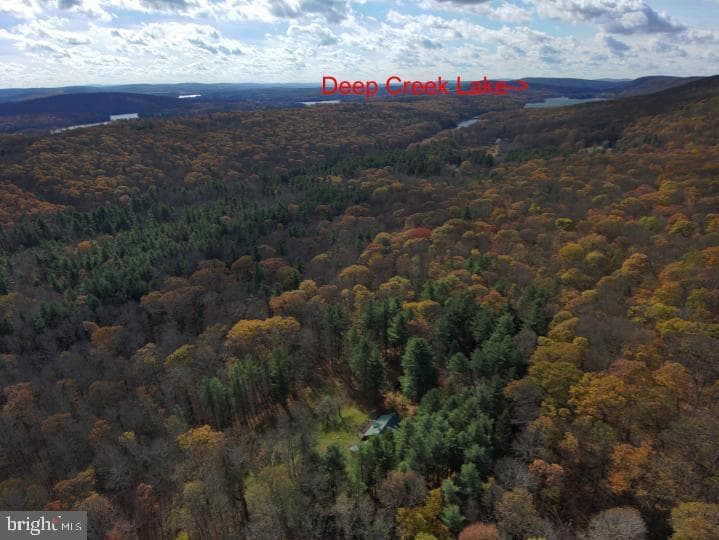 725 Candle Tree Lane photo 30