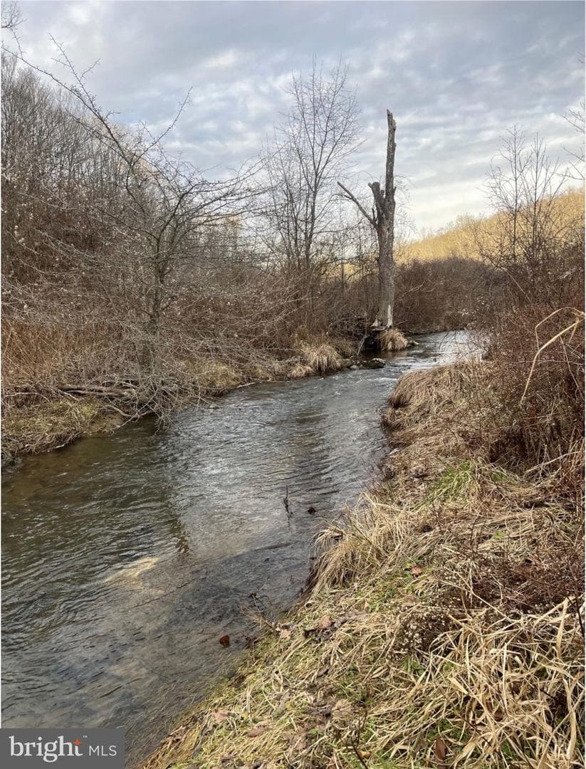 107 Shade Hollow Road photo 4